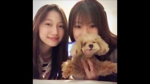 深田恭子 小时候的女神还是美美哒 哔哩哔哩 つロ干杯 Bilibili 深田恭子 小时候的女神还是美美哒 哔哩哔哩 つロ干杯 Bilibili