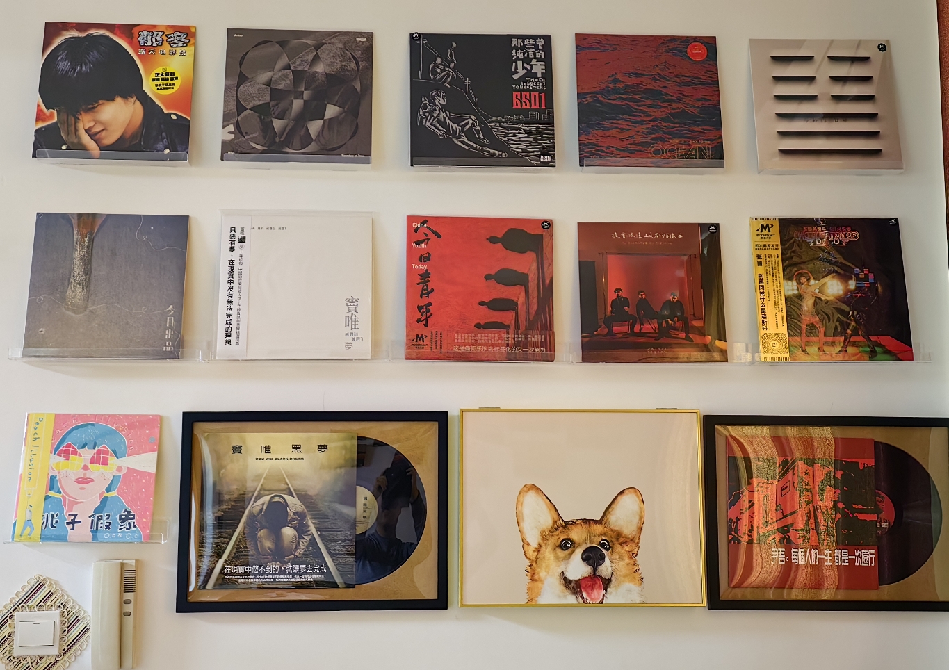 我的唱片墙/黑胶展示2