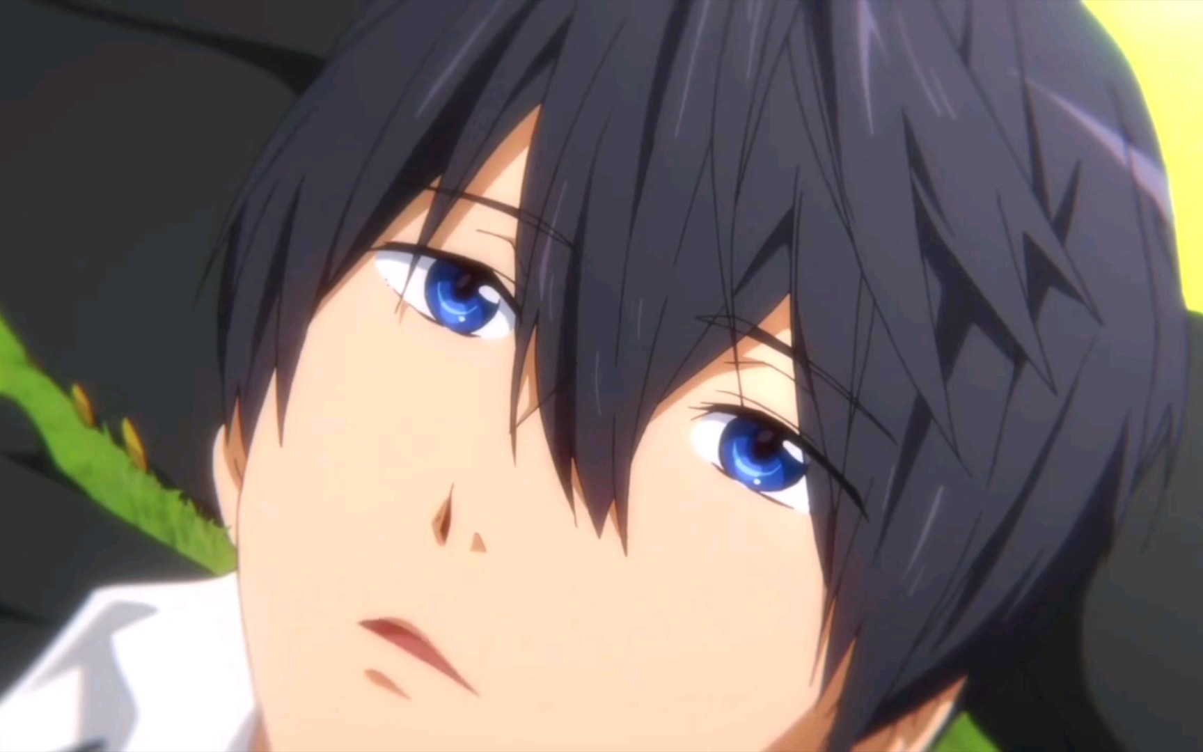 【free!】七濑遥.