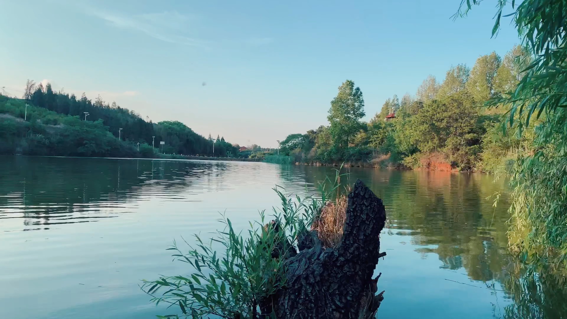 iphonexr4k60p测试用动物森友会的方式打开学校的早晨