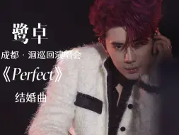 Download Video: 【鹭卓】纯爱战神 结婚曲《Perfect》唱给粉丝 玫瑰王子鹭卓浪漫的要命 <2024.8.24洄巡回演唱会成都站>cr.LINA_1124