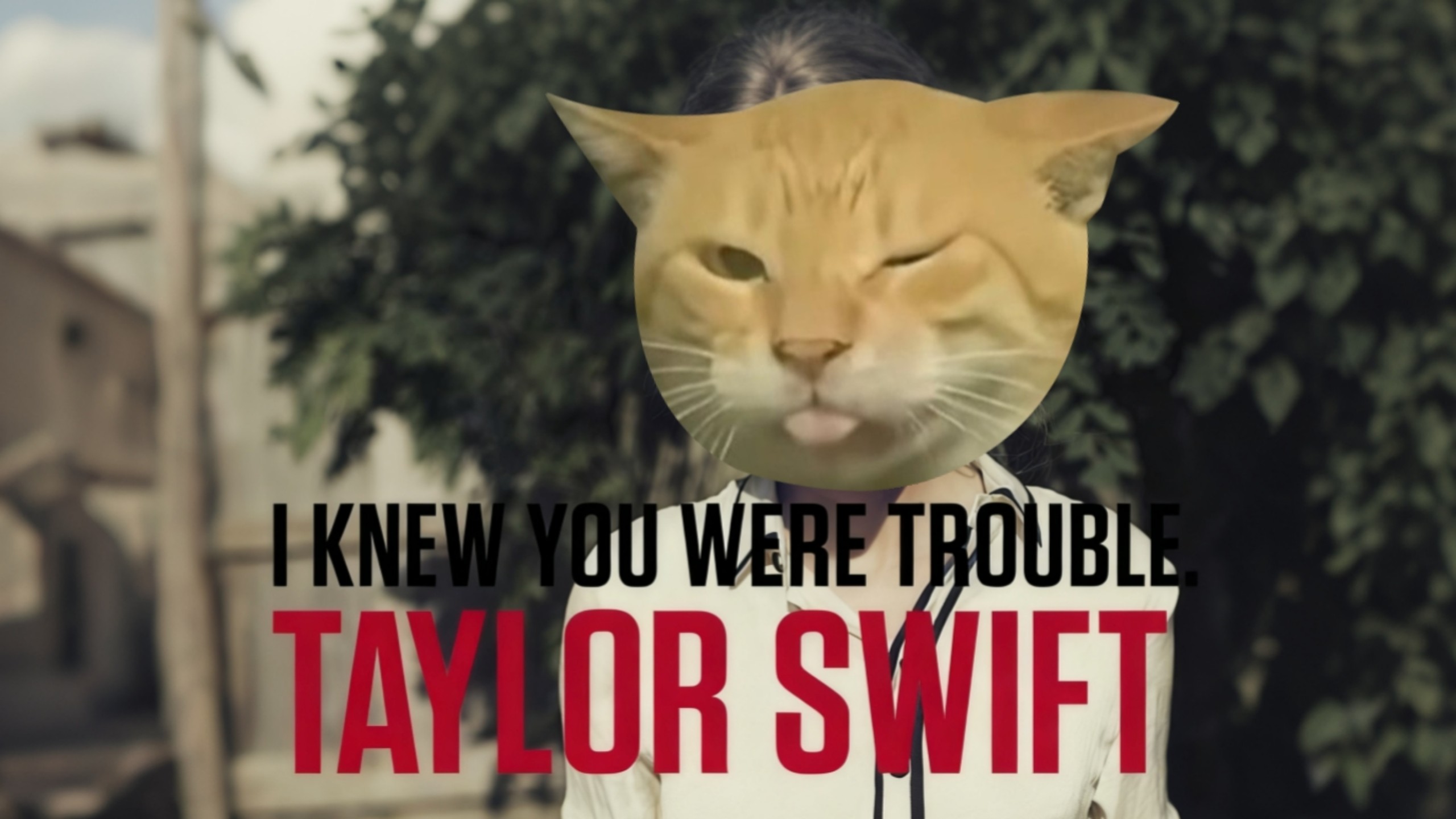 I Knew You Were 曼波.🐱