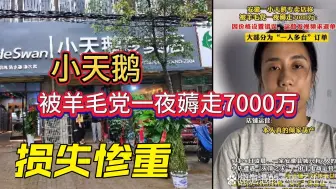 Скачать видео: 只因价格设置错误:小天鹅一夜被薅7000万，东山专卖店损失惨重！