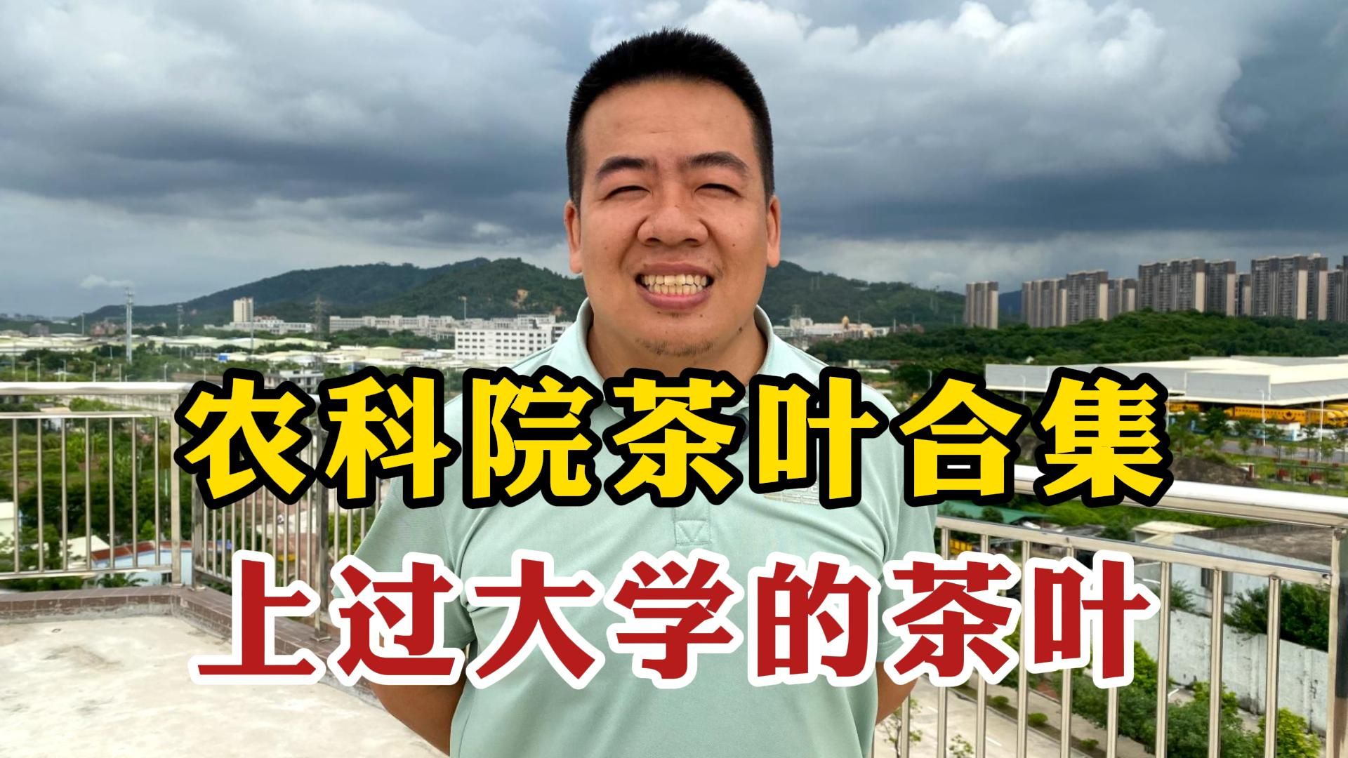 农科院茶叶合集:上过大学的茶叶就是不一样,不仅好喝价比还超高哔哩哔哩bilibili