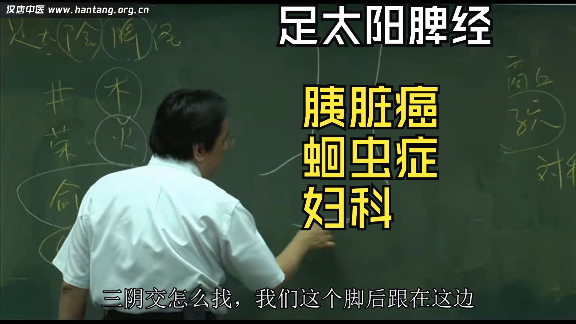 倪海厦《针灸大成》第十三集-完整版