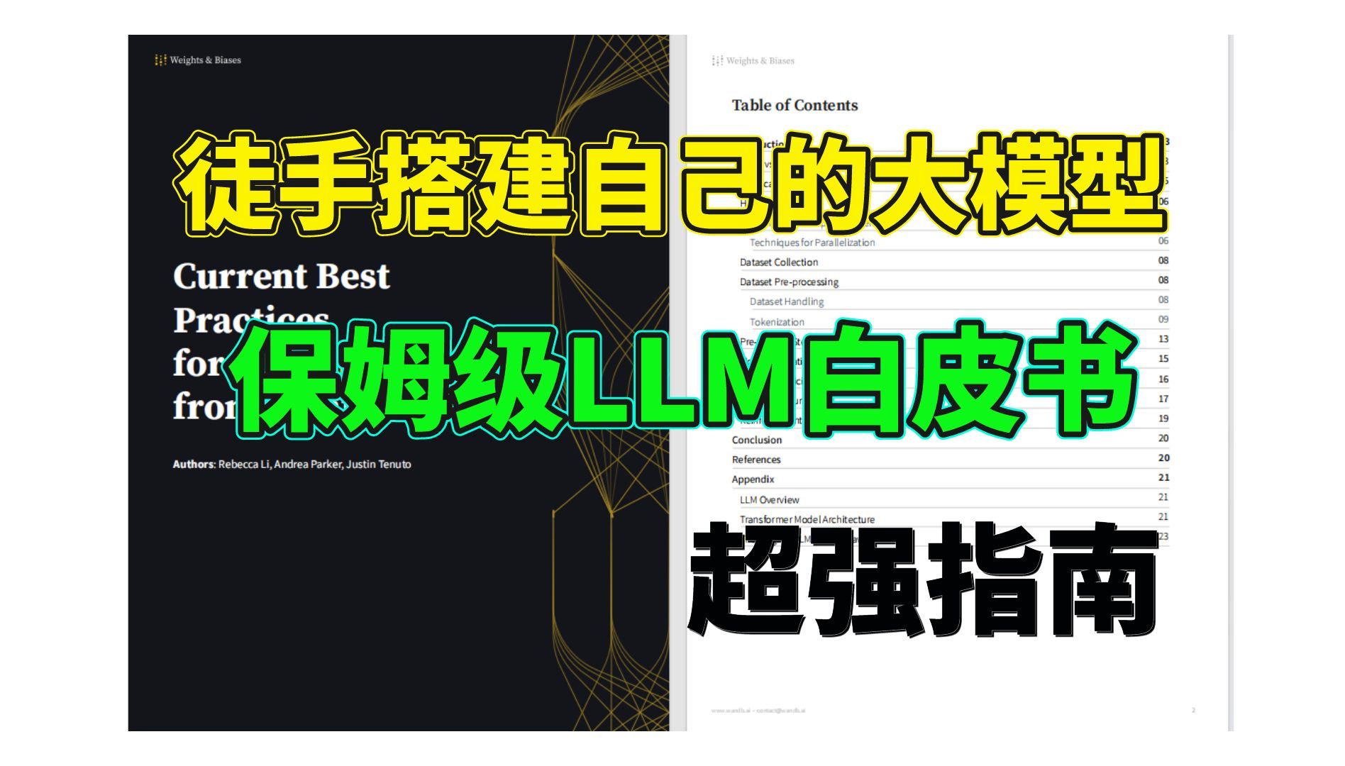 [图]保姆及LLM白皮书！教你徒手搭建自己的大模型！超强指南！