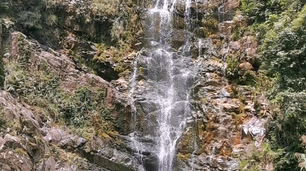 [图]肇庆鼎湖山