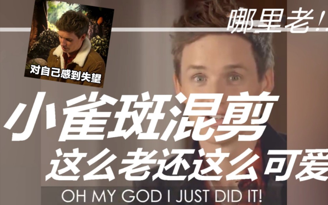 埃迪.雷德梅恩Eddie Redmayne【小雀斑混剪】这么老还这么可爱(划掉:成熟男人英伦绅士的魅力 p2画质好一点哔哩哔哩bilibili