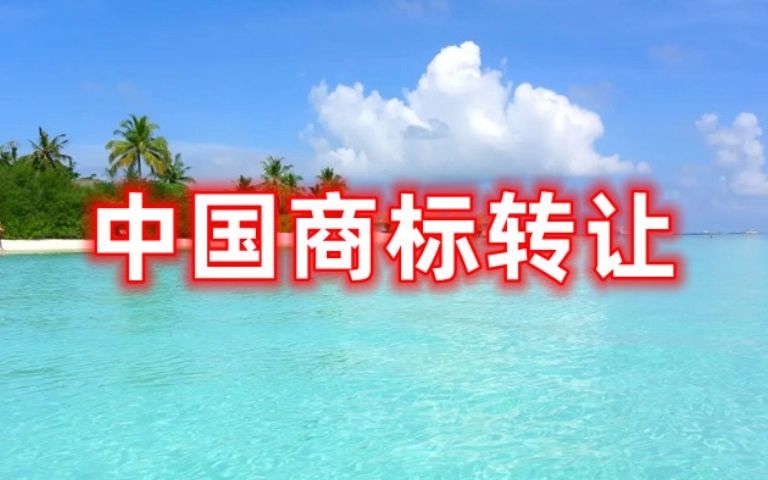 中国商标转让 欧盟商标转让 美国商标转让哔哩哔哩bilibili