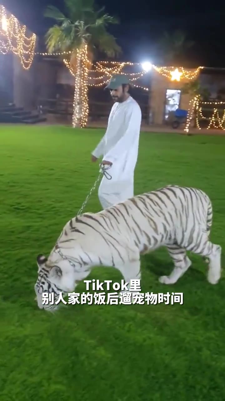 [图]大脑斧x小猫猫