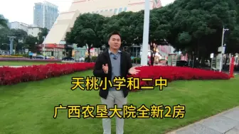 Download Video: 天桃小学和南宁二中，广西农垦大院装修20万的2房，民族大道旁边，拎包入住