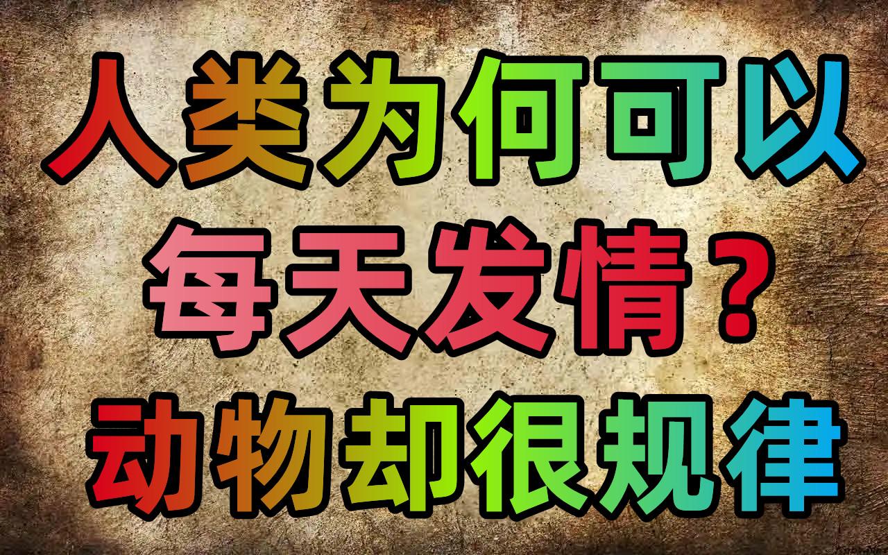 人类为何可以365天发情?而动物却很规律哔哩哔哩bilibili