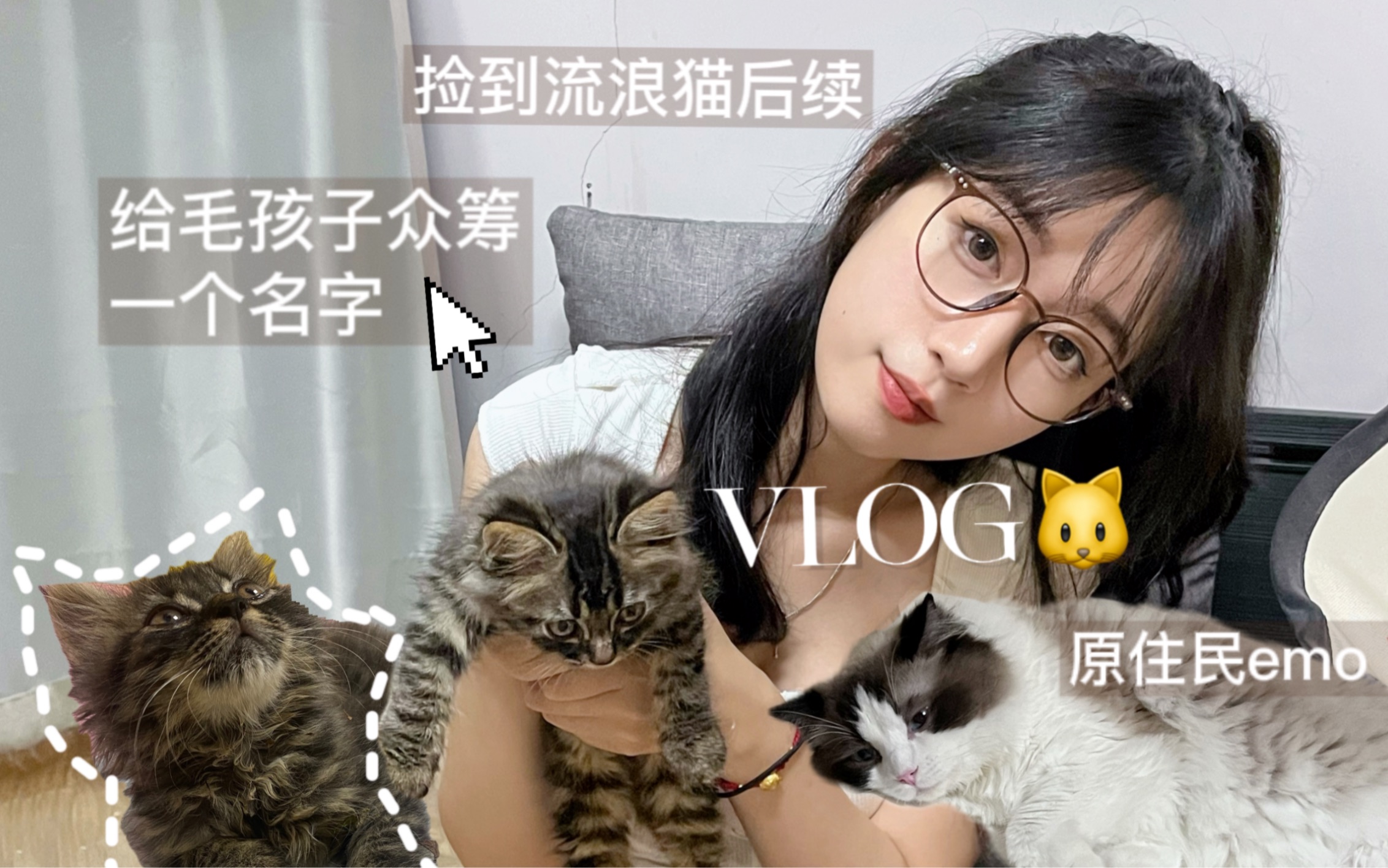 Vlog24 领养vlog|急!!一人血书给毛孩子取个名字ฅ( 쳢€⠂𗌫 • 쳩哔哩哔哩bilibili