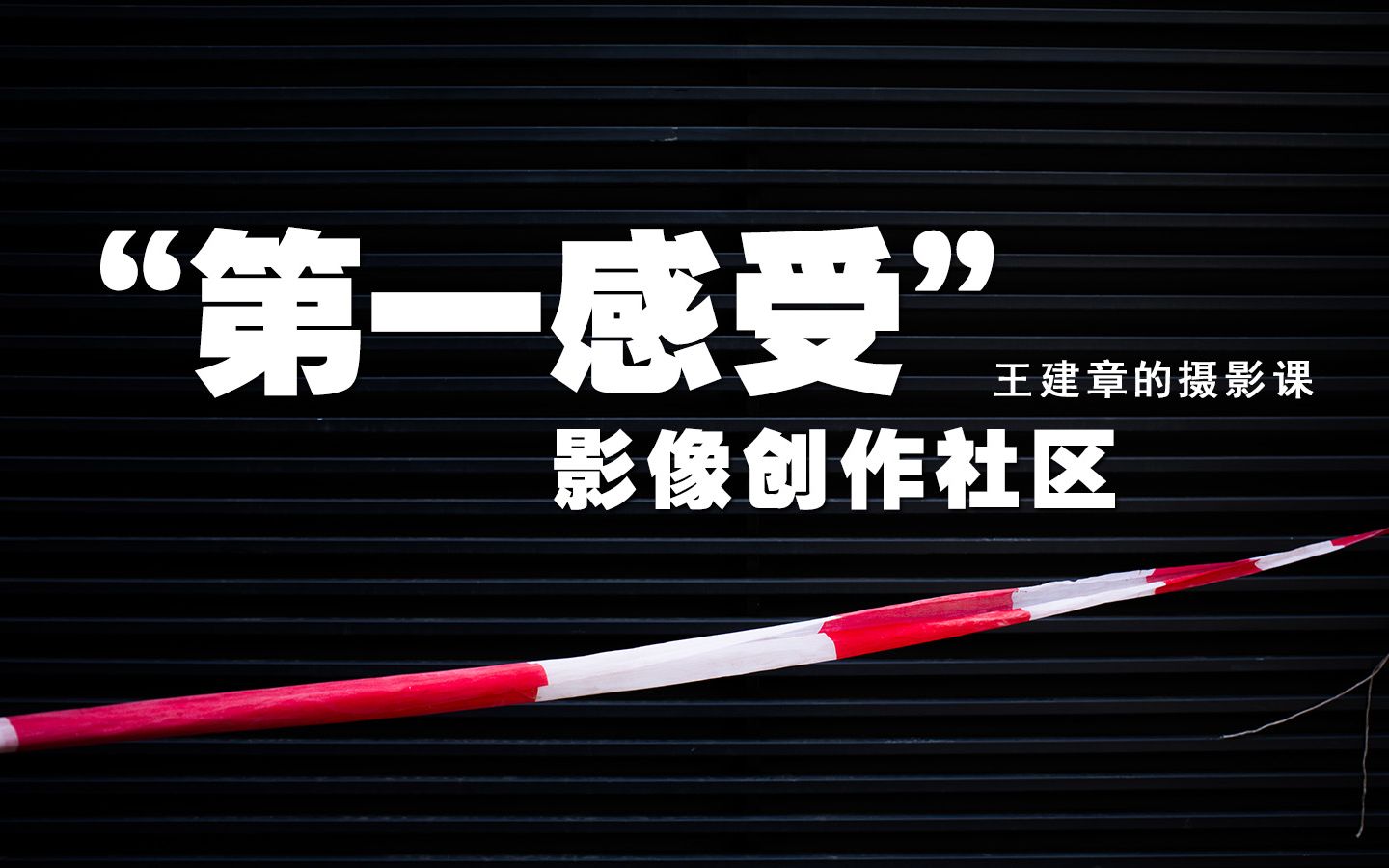 这是一个什么样的社区?为什么是摄影?怎么才能走进摄影?不仅仅是教与学,更多的是陪伴和引导.哔哩哔哩bilibili