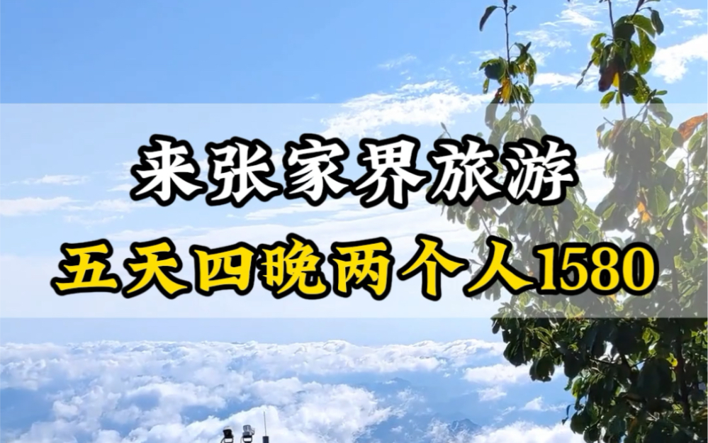 来张家界两人1580玩五天,包含24小时接送站,吃住行门票导游都包,没有任何隐形消费和强制购物#张家界旅游攻略 #张家界天门山 #湖南张家界哔哩哔哩...