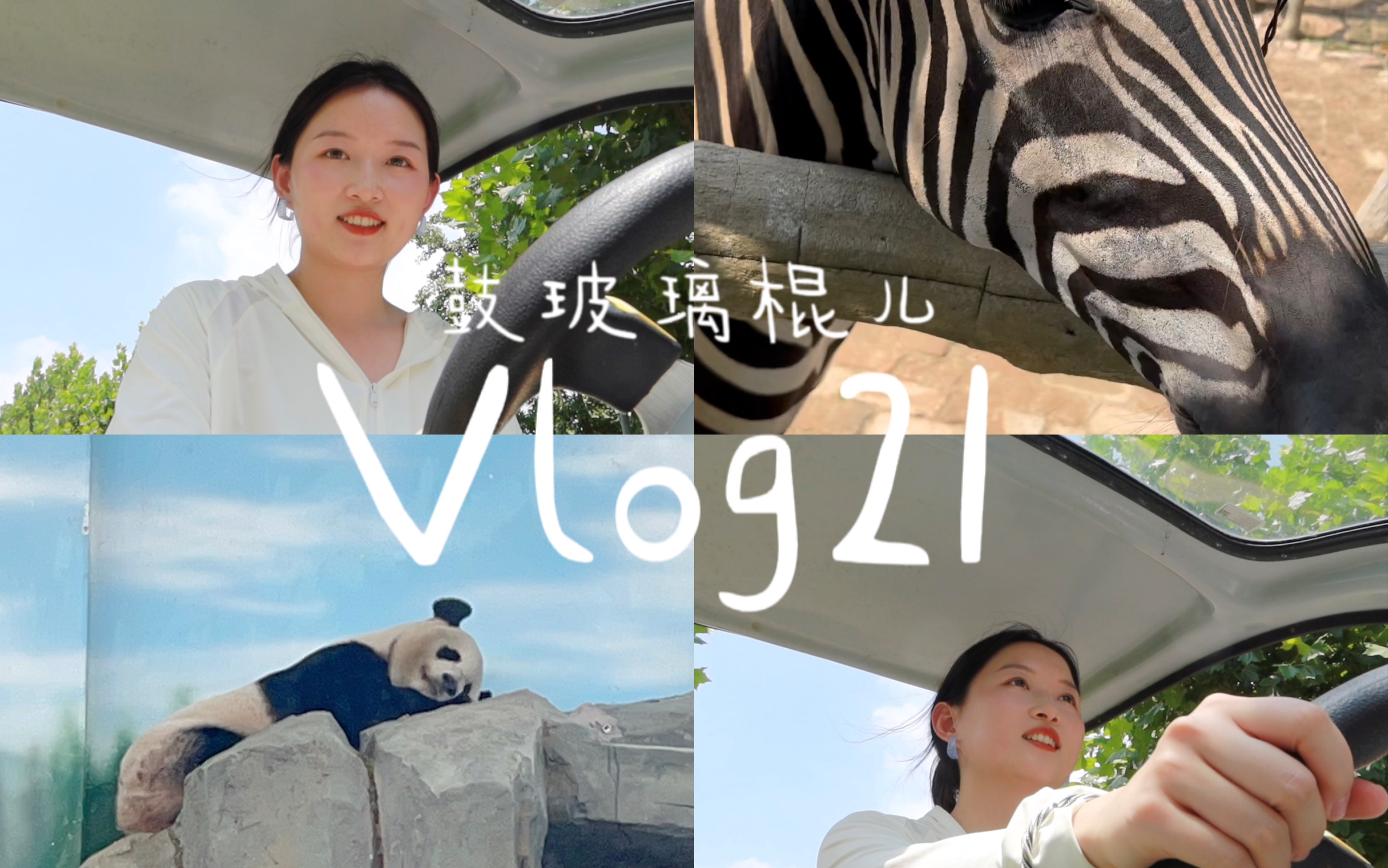 Vlog21 我带我自己逛宿州野生动物园/可能是一个几乎没有外地游客的地方/喝了卡旺卡/爆浆豆乳蛋挞也太好吃了哔哩哔哩bilibili