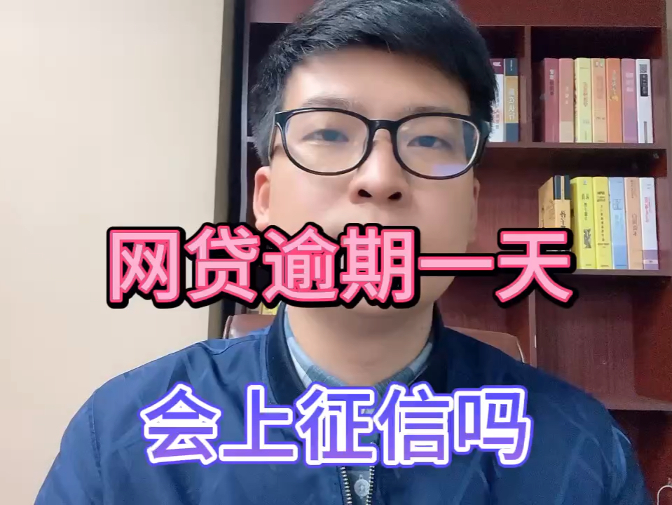 网贷逾期一天,会上征信吗?哔哩哔哩bilibili