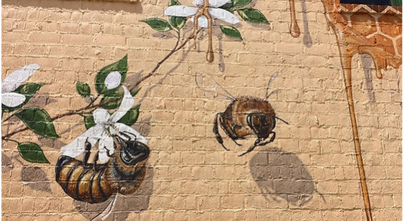 男子在街头画了50000多只蜜蜂,画风精美,他想唤醒人类!