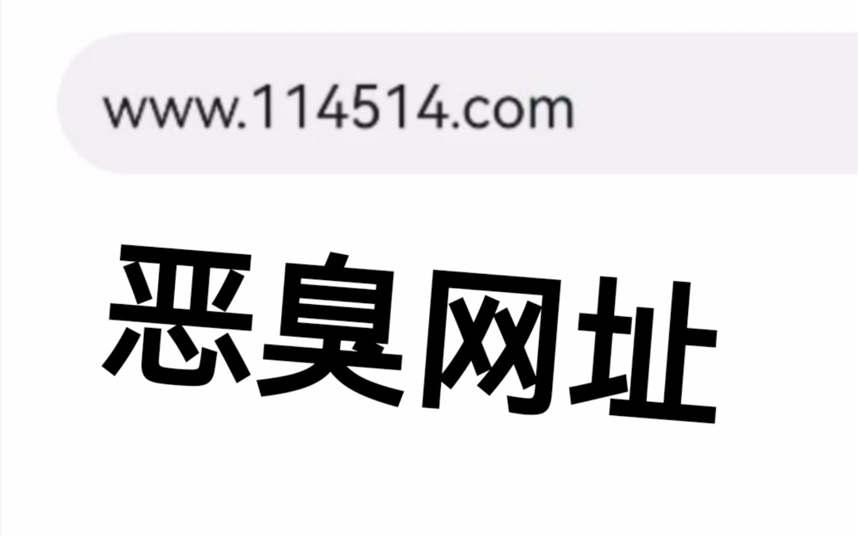 [图]当你在浏览器里输入恶臭网址会发生什么