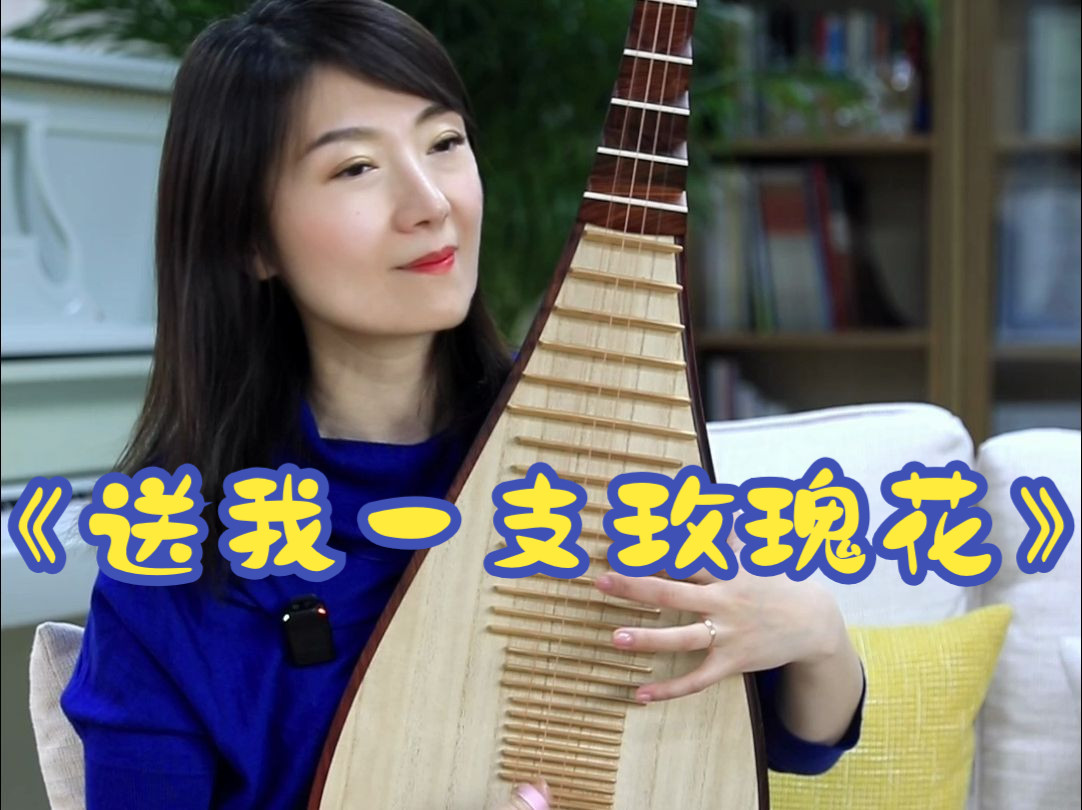 那些年弹过的琵琶考级曲之《送我一支玫瑰花》