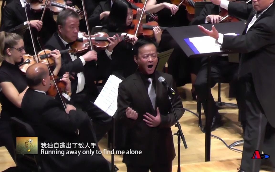 [图]和平颂交响音乐会《思乡曲》男高音独唱 唐伟