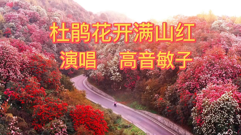 杜鹃花开满山红
