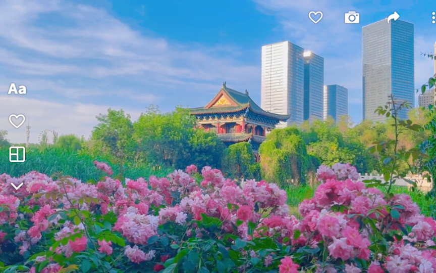 美丽的乌鲁木齐市西公园