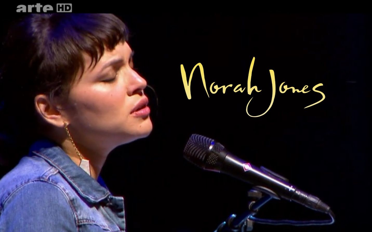 14法国演唱会】norah jones in concert at we love green festival.