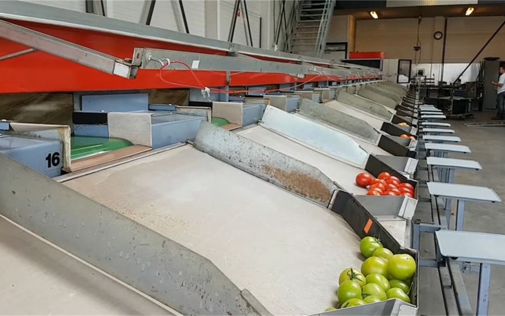 能按颜色分拣果实的机器,一秒钟扫描32个果子,发青的直接被打飞