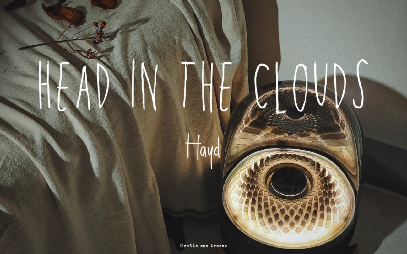 Head in the clouds–Hayd|花儿与少年背景英文歌|哈曼卡顿哔哩哔哩bilibili