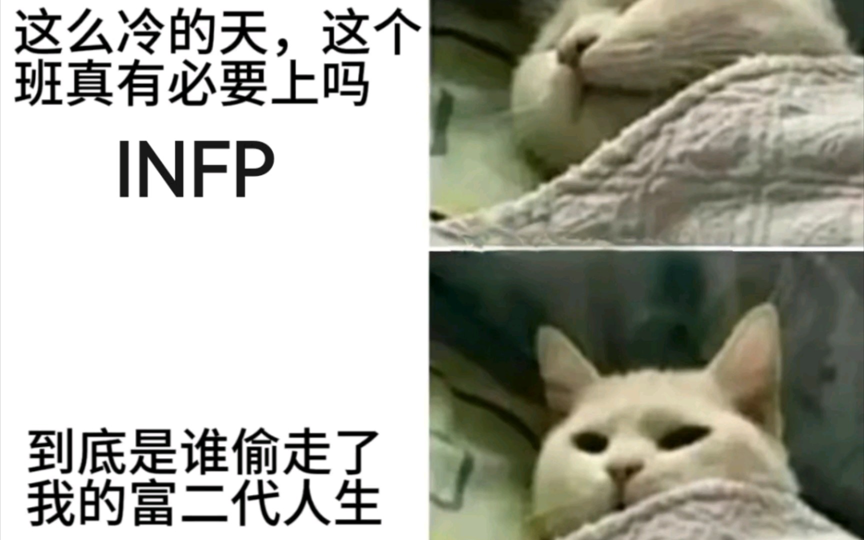 INFP梗图大赏哔哩哔哩bilibili