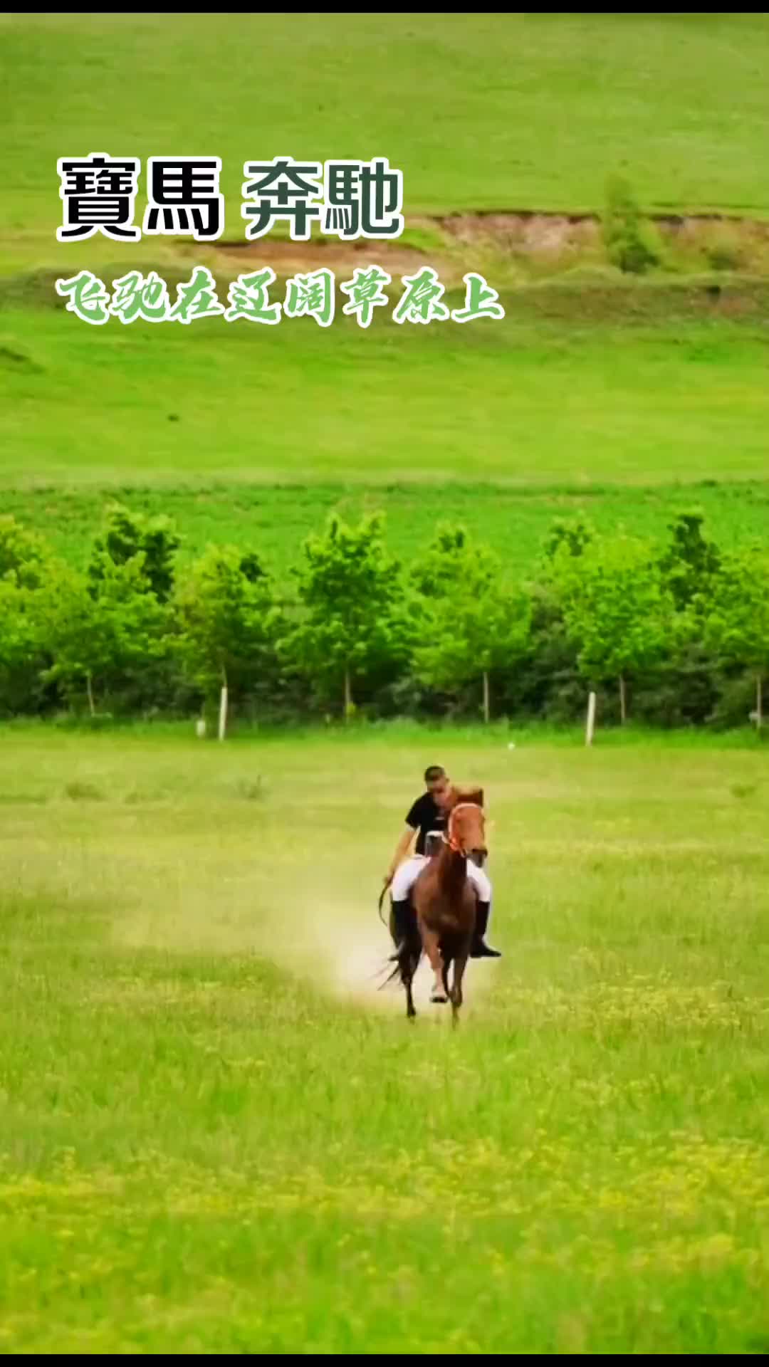 策马奔腾音乐分享骏马奔驰在辽阔草原上草原儿女英姿飒爽骏马奔驰哔哩哔哩bilibili