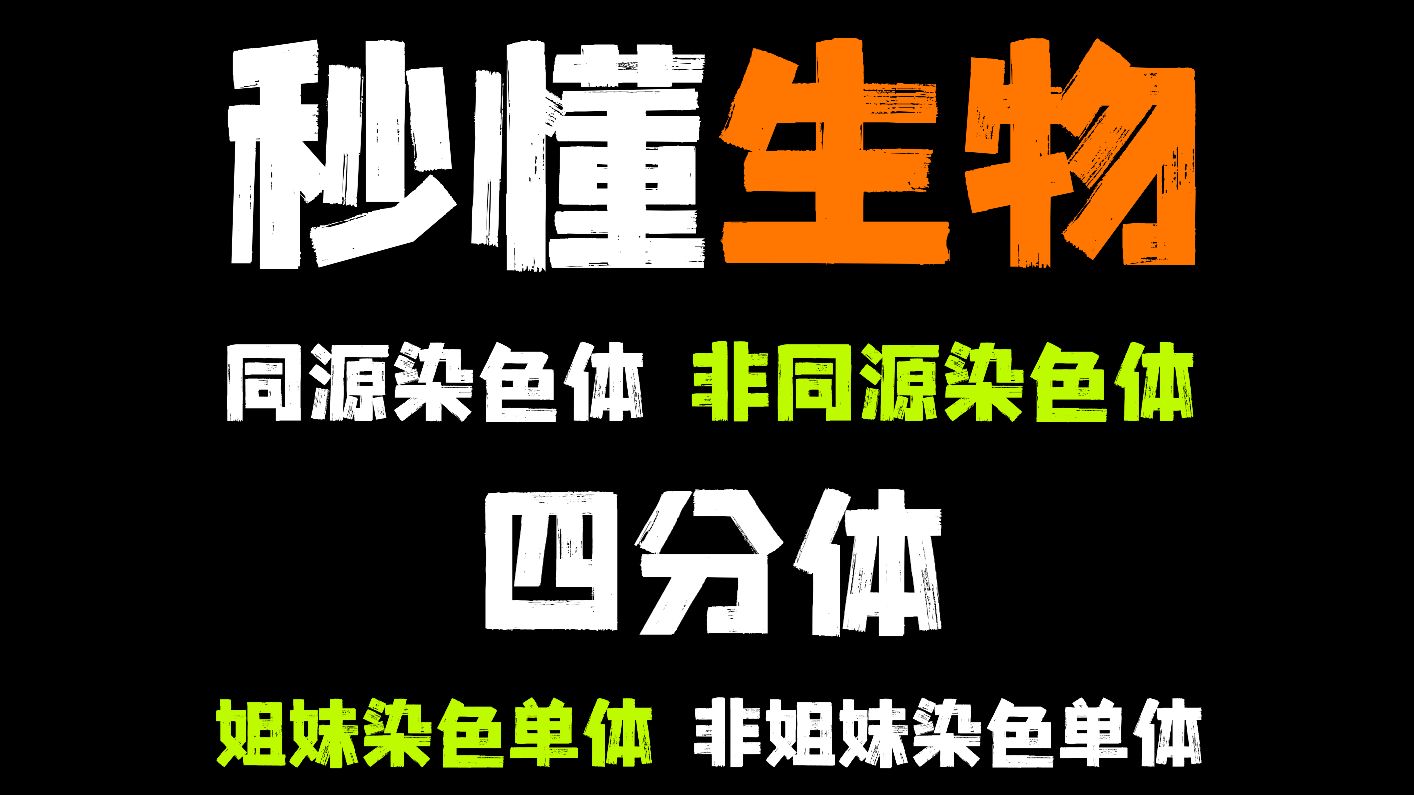 一张图搞定同源染色体姐妹染色单体四分体区别 | 高中生物钱夫子哔哩哔哩bilibili