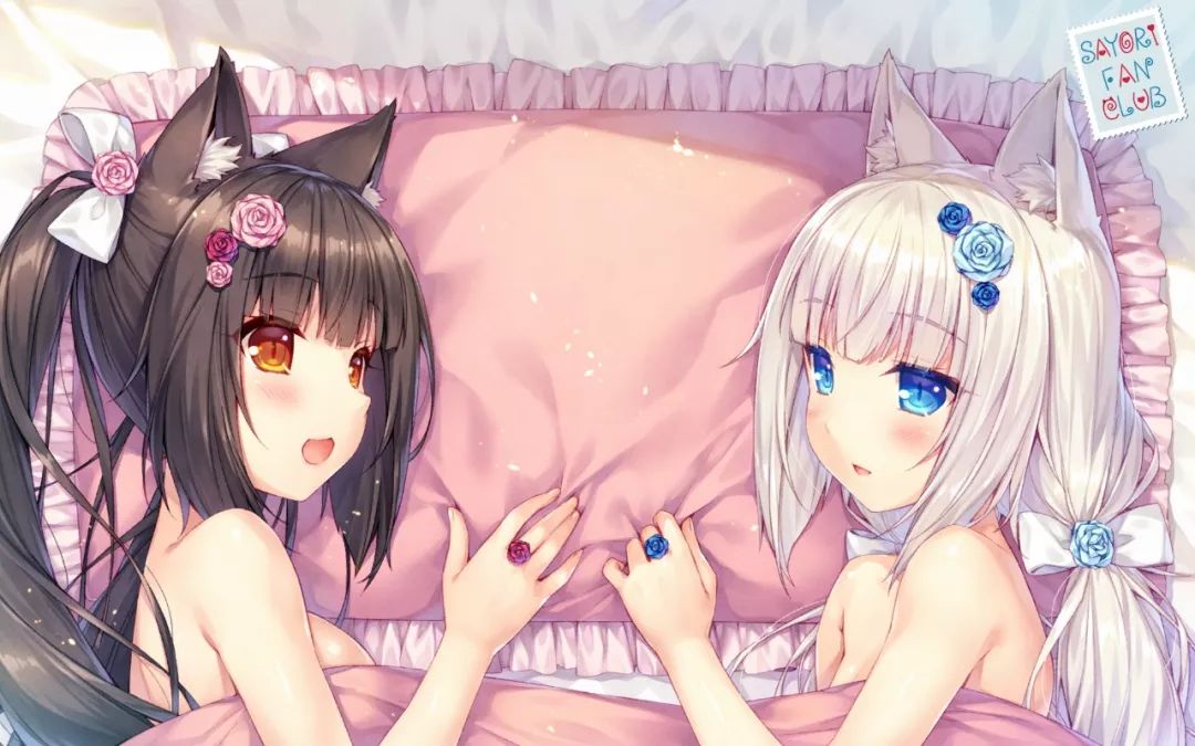 [图]steam猫娘乐园合集免费入库加补丁