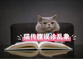 Download Video: 猫传腹误诊乱象！