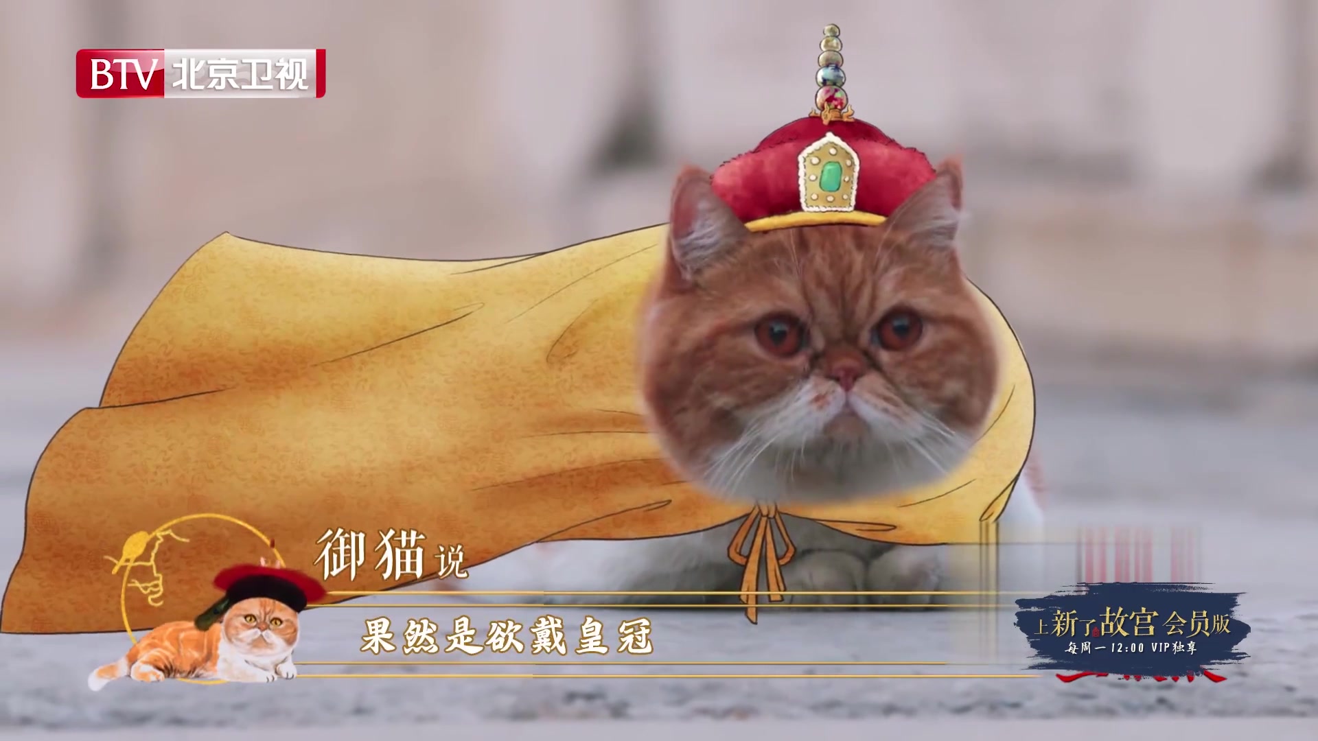 《上新了故宫》之鲁班合集～故宫活宝,快来瞅瞅!