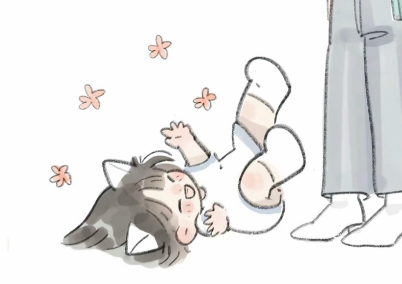 我妈爱我就像我爱小猫