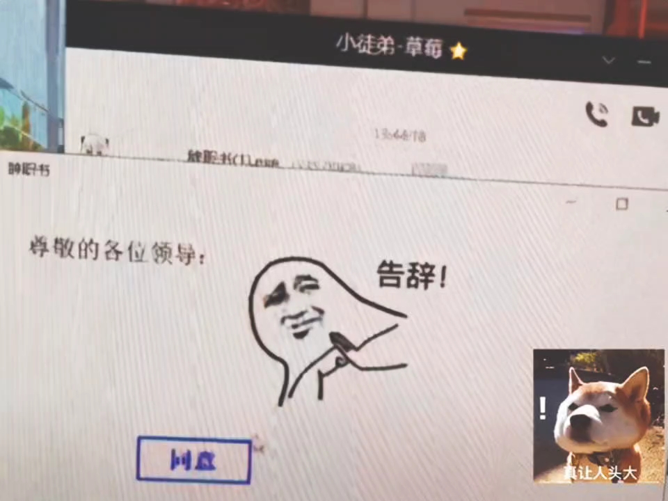 你们的辞职报告怎么写的?哔哩哔哩bilibili