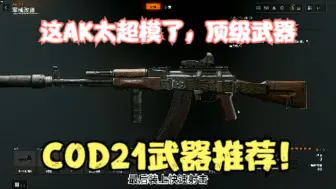 Descargar video: 【COD21】射速这么快的AK你见过？不知道用什么的快试试AK把。AK配装