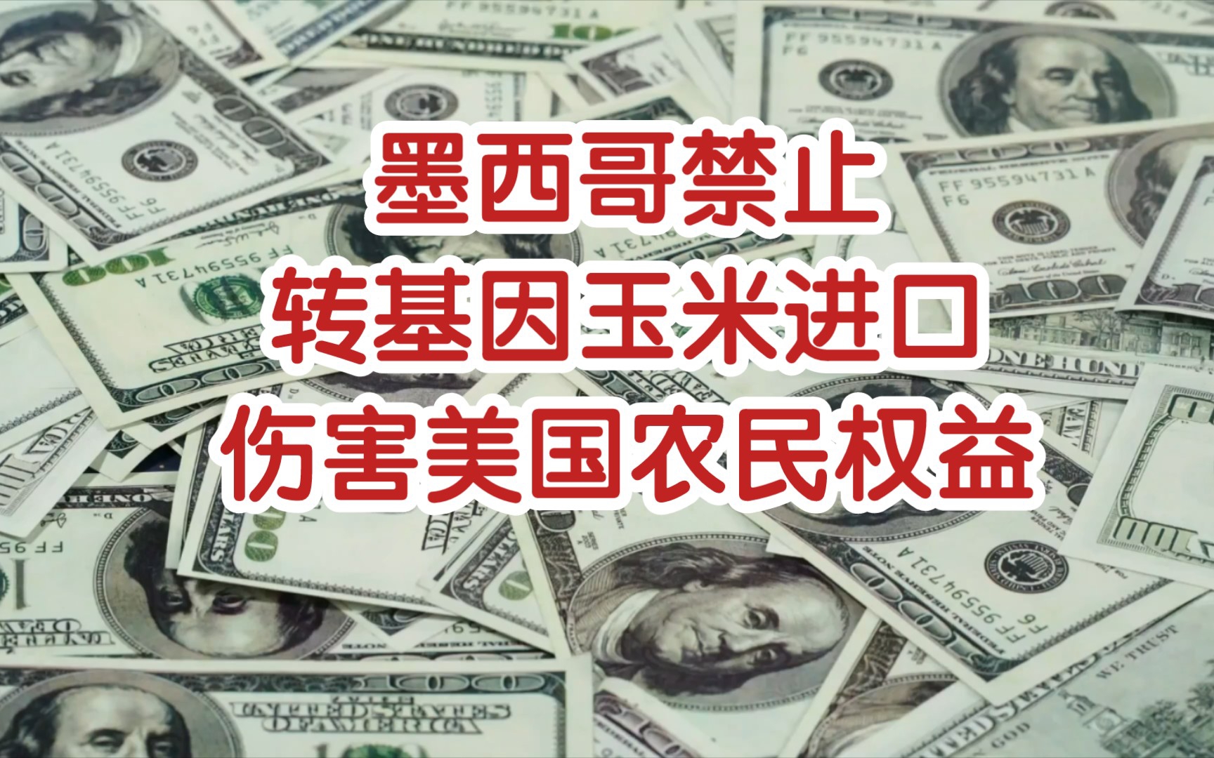 墨西哥转基因玉米进口禁令遭美国农业组织反对:伤害美国农民权益哔哩哔哩bilibili