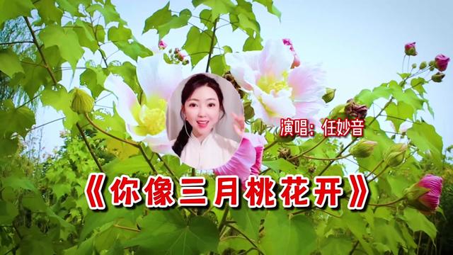 你像三月桃花开原唱图片