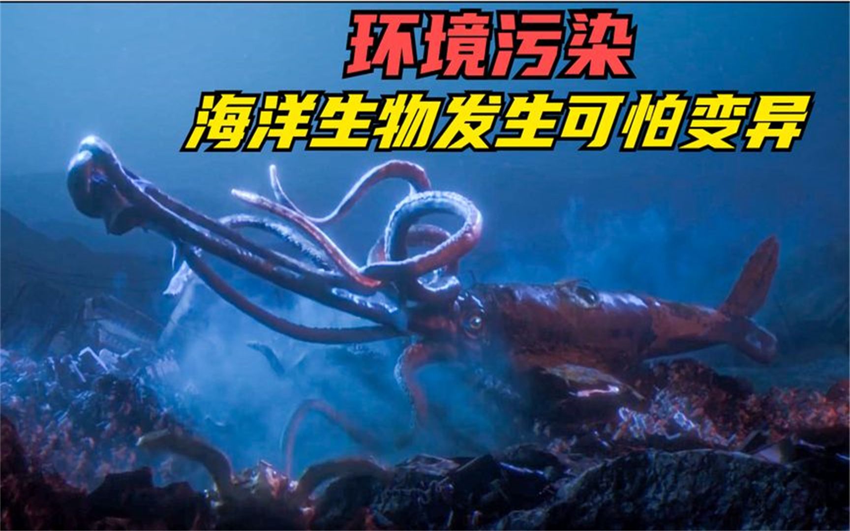 《被污染的水下世界》令人细思极恐的画面,海洋生物发生可怕变异