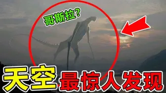 Tải video: 天空中“最惊人”的10大发现，外国网友疑似拍到30米高的恐龙