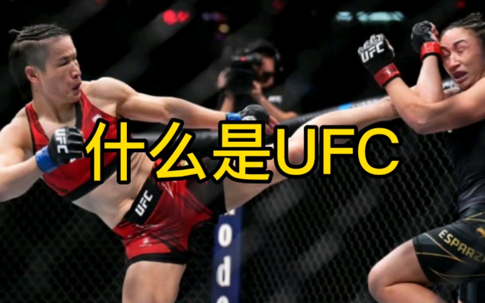 张伟丽UFC再次夺冠,那什么是UFC,纯干货,小白入坑指南哔哩哔哩bilibili