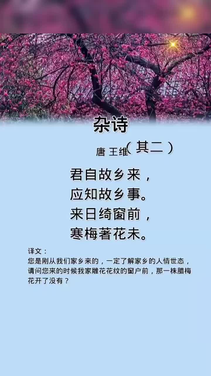 每日一首古诗鉴赏