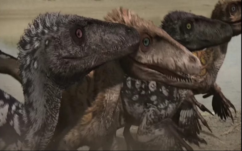 手盗龙类混剪燃向手盗之龙必称霸世界