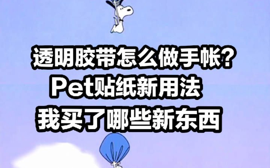 【田田】透明胶带怎么做手帐?pet贴纸怎么用?种草拔草了哪些手帐用品哔哩哔哩bilibili