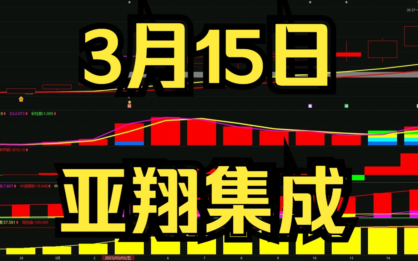 3.15亚翔集成:最新主力资金情况,如何判断低吸高抛?哔哩哔哩bilibili