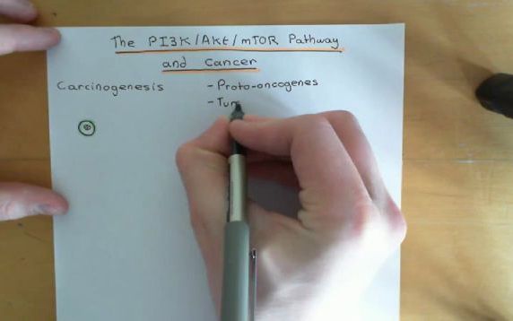 [图]The PI3K / AKT / mTOR Pathway and Cancer Part 1 - PI3K/AKT/mTOR通路与癌症P1