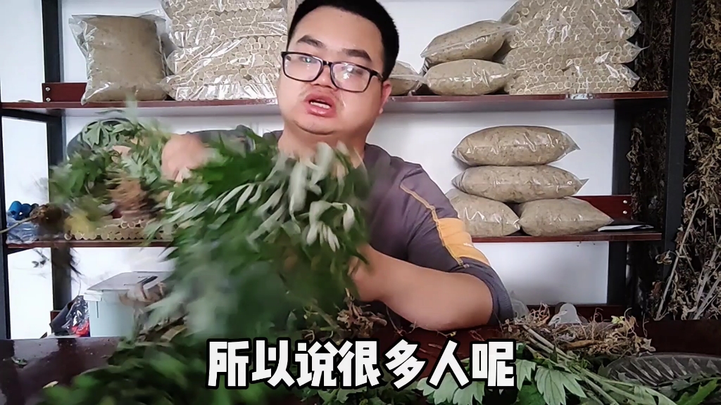 [图]如何分辨艾叶和艾蒿，竹叶蒿，大叶蒿，菊花，益母草